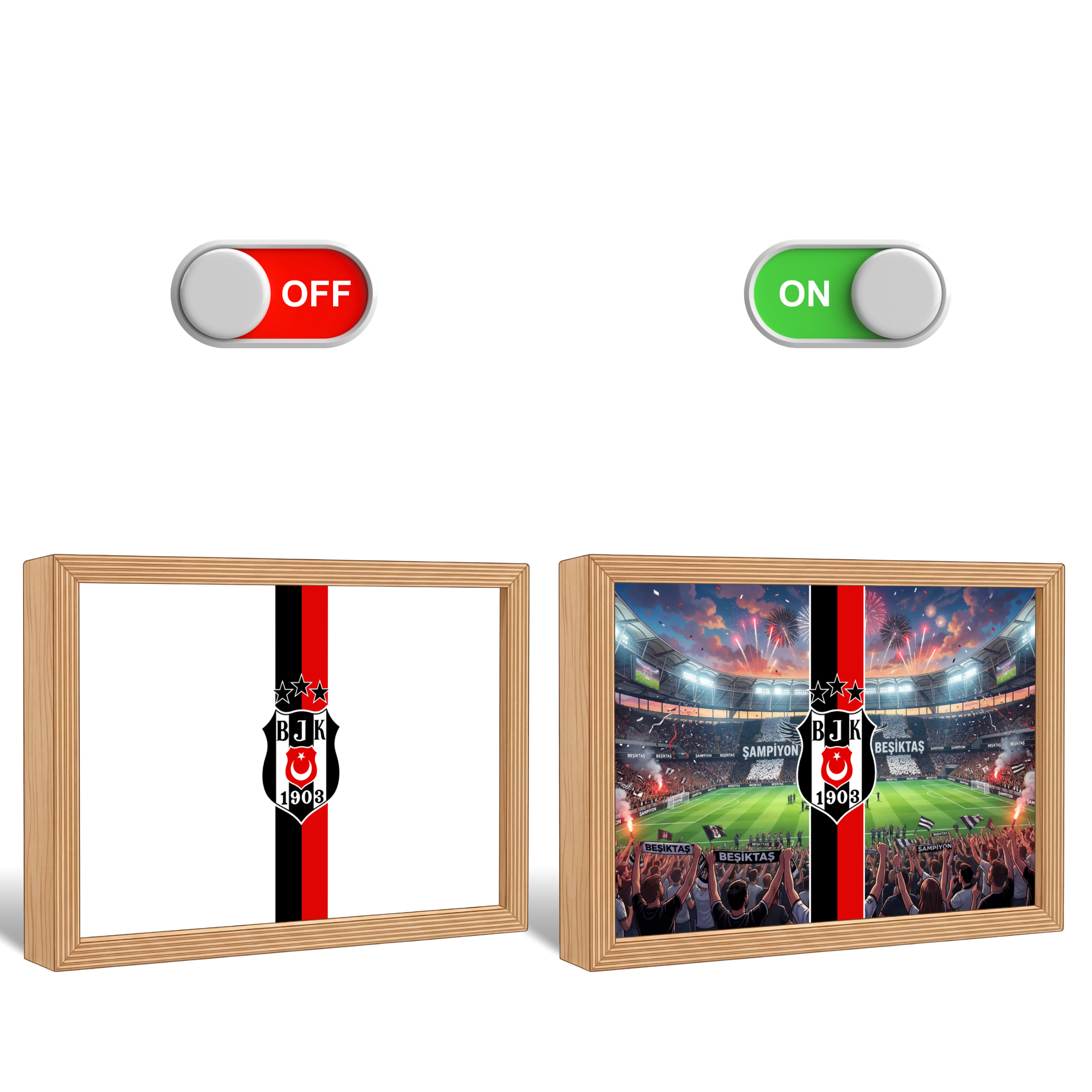 Beşiktaş - Tüpraş Stadyumu