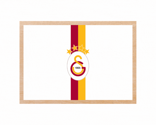 LM-F003 | Sneijder - Drogba